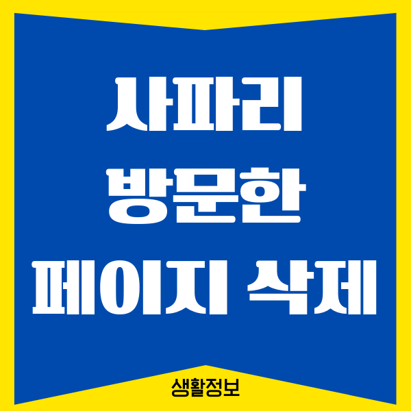 사파리 자주 방문한 페이지 삭제하는 방법