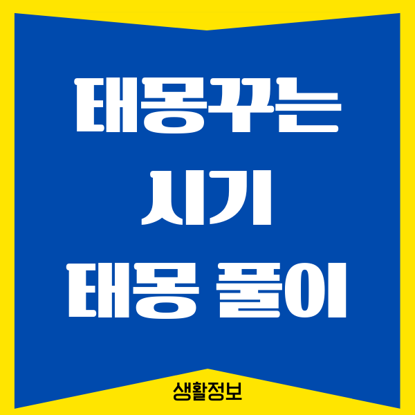 태몽 꾸는 시기, 태몽 종류, 태몽 풀이 및 해석