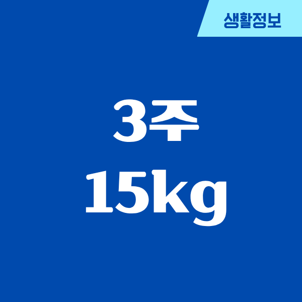 3주 15kg 감량, 진짜 가능한 줄 알았던 나의 실험