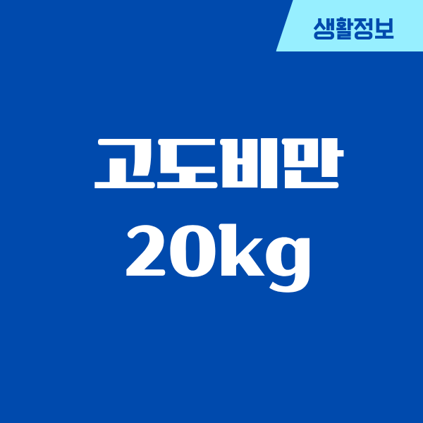 고도비만 한달 20kg, 무모했지만 해봤어요