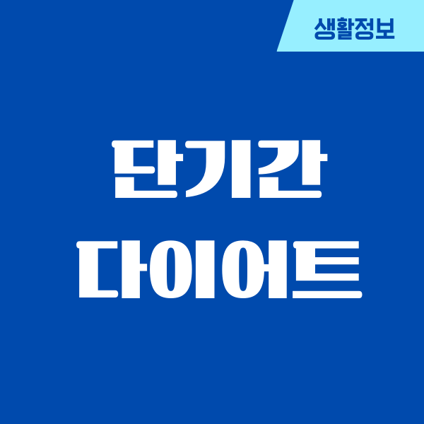 단기간 다이어트, 제가 진짜 해봤던 리얼 경험 이야기