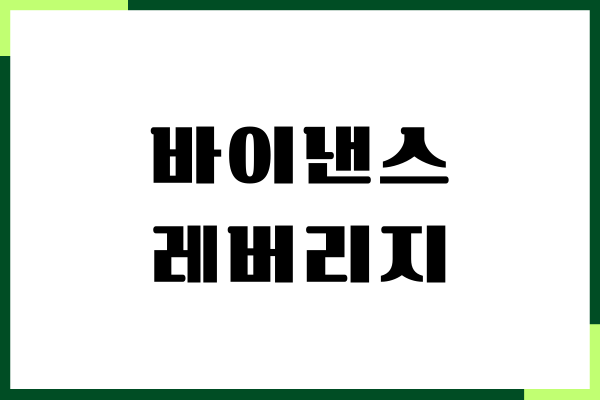 바이낸스 레버리지 수수료, 코인 시세, 비트코인 전망
