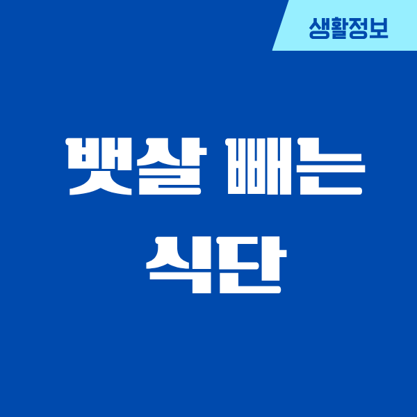 뱃살 빼는 식단, 제가 진짜 해보고 느낀 변화들