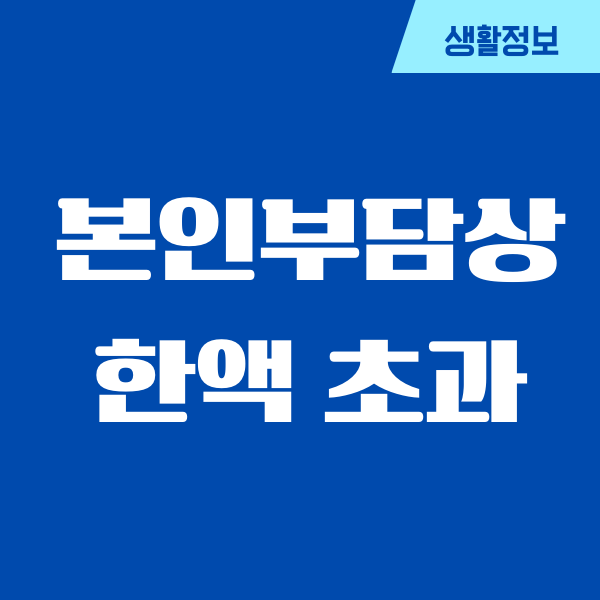 본인부담상한액 초과금 지급신청, 지급일, 절차, 서류안내
