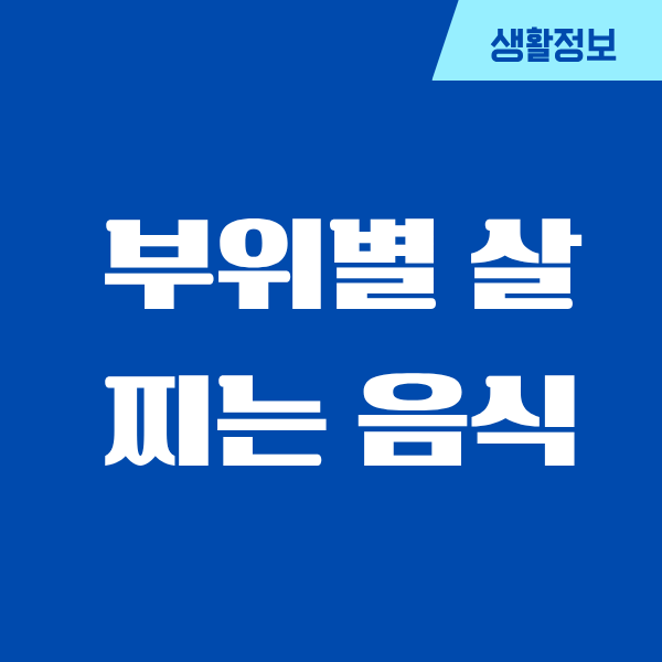 부위별 살찌는 음식, 제가 몸으로 겪은 현실 이야기
