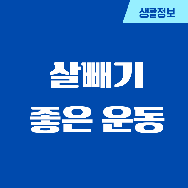 살빼기 좋은 운동, 40대 중반 아저씨가 진짜 해본 찐후기