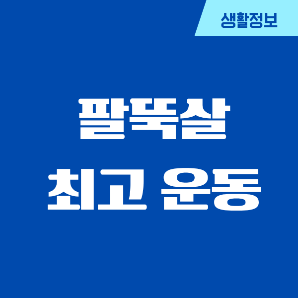 팔뚝살 빼는 최고의 운동, 제가 진짜 효과 본 루틴