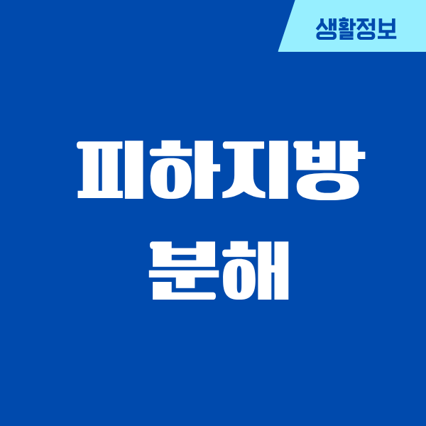 피하지방 분해, 꾸준함으로 바꿔낸 내 몸 이야기