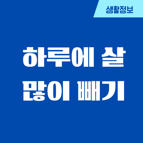 하루에 살 많이 빼는법, 제가 직접 시도해본 후기