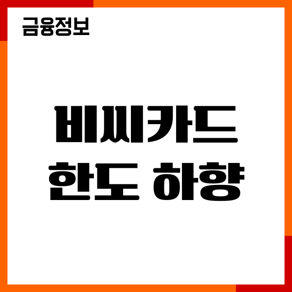 비씨카드 한도 하향, 감액, 증액 방법, 절차, 이용후기