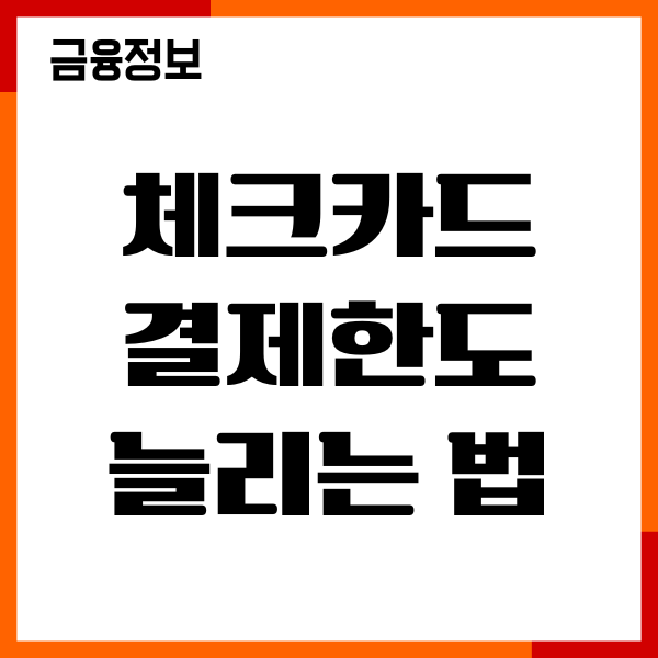 체크카드 결제한도 늘리는 법, 비대면 방법, 이용후기